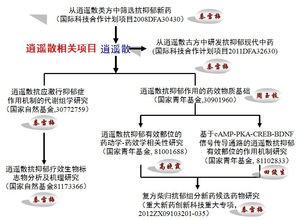 歡迎登錄山西大學中醫(yī)藥現(xiàn)代研究中心網站